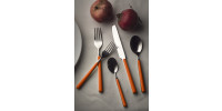 Fantasia Carrot (Carota - F7)