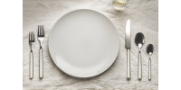 Fantasia White (Porcellana - W6)